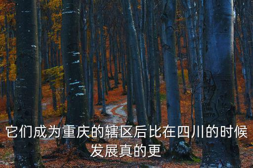 它們成為重慶的轄區后比在四川的時候發展真的更