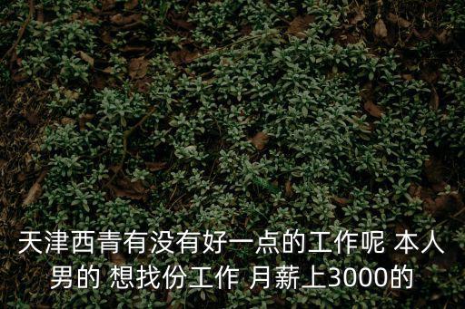 天津市西青區北鎮有什么工作，天津西青中北鎮有什么好電子廠招人