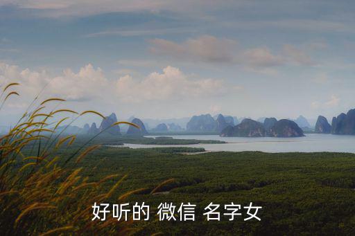 好聽(tīng)的 微信 名字女