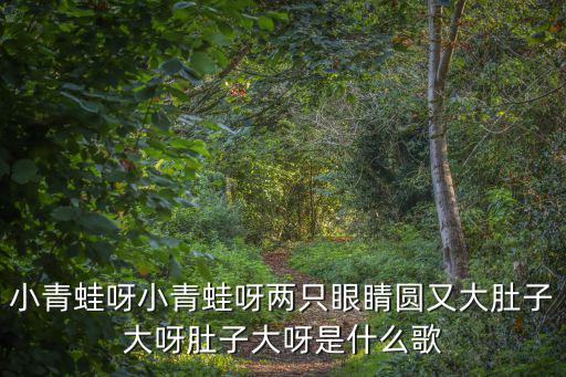 小青蛙呀小青蛙呀兩只眼睛圓又大肚子大呀肚子大呀是什么歌