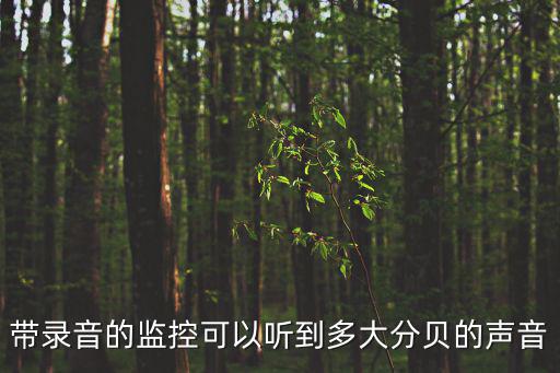 帶錄音的監(jiān)控可以聽到多大分貝的聲音