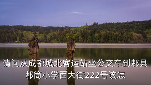 請問從成都城北客運站坐公交車到郫縣郫筒小學西大街222號該怎