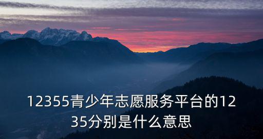 12355，12355用語(yǔ)言表達(dá)是什么意思