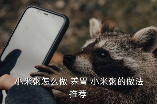  小米粥怎么做 養(yǎng)胃 小米粥的做法推薦