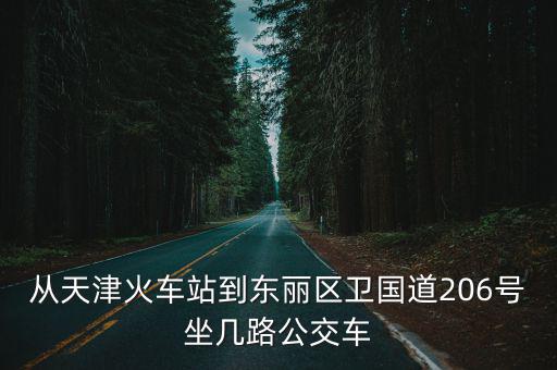 天津市衛國道鐵路地道，天津市河東區衛國道是開發區還是市區
