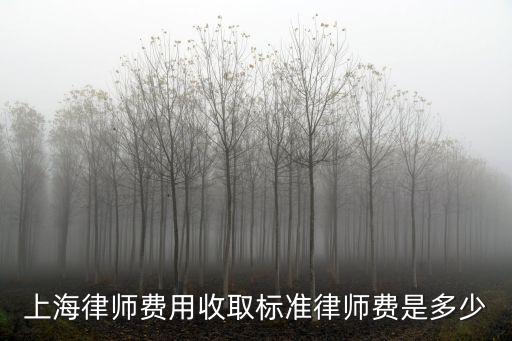 上海律師費用收取標準律師費是多少