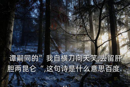 譚嗣同獄中題壁,譚嗣同在獄中寫詩悼念張儉