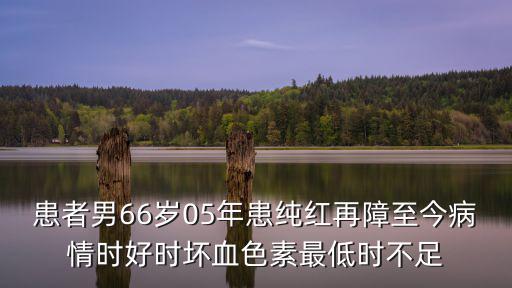 患者男66歲05年患純紅再障至今病情時好時壞血色素最低時不足