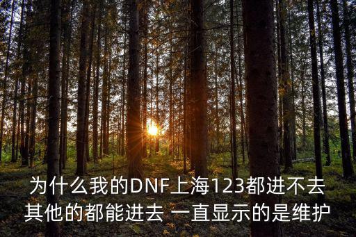 為什么我的DNF上海123都進不去其他的都能進去 一直顯示的是維護