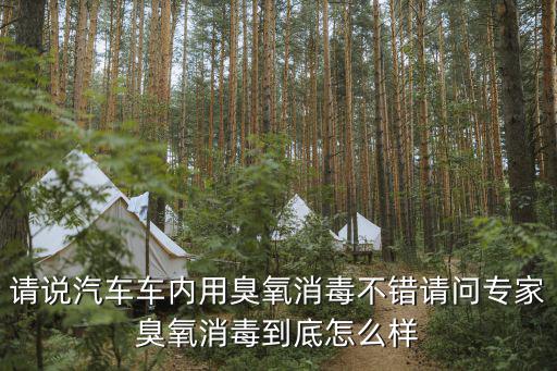 車輛消毒設備，車愛美汽車數控消毒養護一體機誰知道這個項目