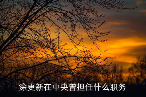 涂更新在中央曾擔任什么職務