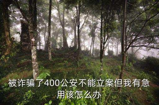 被詐騙了400公安不能立案但我有急用該怎么辦