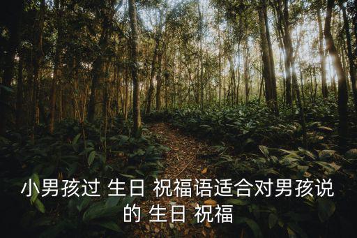 小男孩過 生日 祝福語適合對男孩說的 生日 祝福