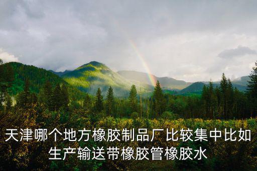 天津哪個地方橡膠制品廠比較集中比如生產(chǎn)輸送帶橡膠管橡膠水