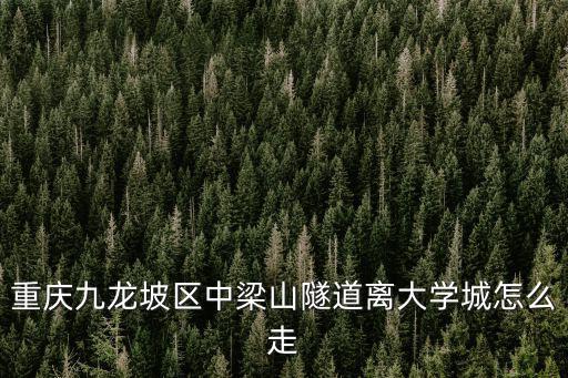 重慶九龍坡區(qū)中梁山隧道離大學(xué)城怎么走
