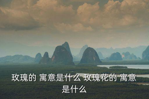 玫瑰花的寓意,玫瑰與其他花有何不同?