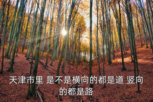 天津市一條正南正北的路，天津的街道是正南正北嗎