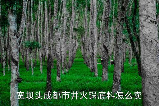 寬壩頭成都市井火鍋底料怎么賣