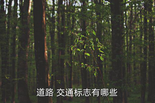 交通標(biāo)志,禁令標(biāo)志共35種禁止或限制車輛、行人交通行為