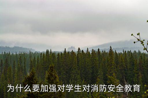 為什么要加強對學生對消防安全教育