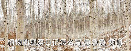 植物的觀察日記怎么寫 急急急 謝謝