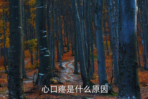 心口疼是什么原因,胸痛怎么辦?可以自我檢測和做心電圖