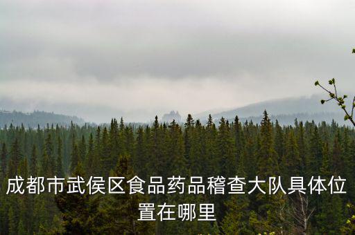 李萍成都市藥監(jiān)局，鄧州市食品藥品監(jiān)督管理局屬于哪個(gè)街道