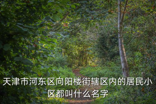 天津市向陽樓盤，天津市河?xùn)|區(qū)向陽樓街轄區(qū)內(nèi)的居民小區(qū)都叫什么名字