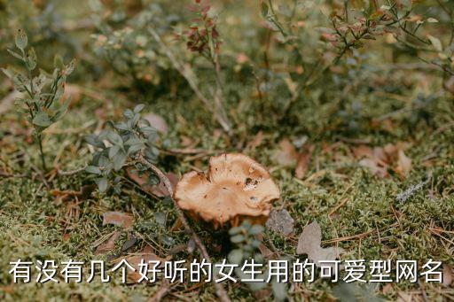 有沒有幾個好聽的女生用的可愛型網名