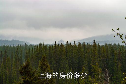 上海的房價多少