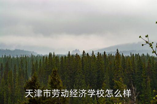 天津市勞動經濟學校怎么樣