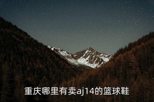 重慶哪里有賣aj14的籃球鞋