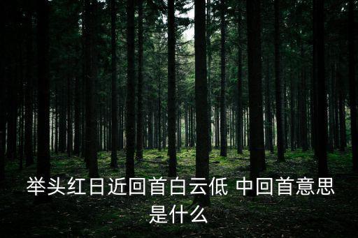 回首的意思，回首是什么意思