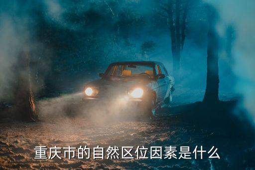重慶市勞動力需求特征，重慶市的自然區位因素是什么