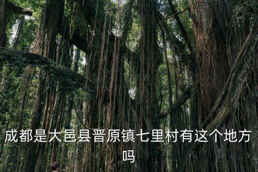 成都是大邑縣晉原鎮(zhèn)七里村有這個地方嗎