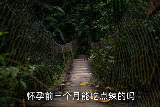  懷孕前三個月能吃點辣的嗎