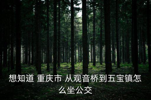 重慶市江北五寶鎮大樹村，大家說說自己是哪的人吧