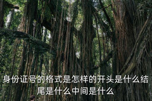 成都市身份證的開頭和結(jié)尾，身份證號(hào)的格式是怎樣的開頭是什么結(jié)尾是什么中間是什么