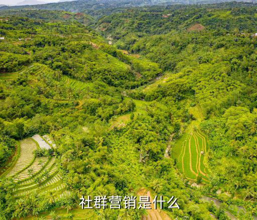  社群營銷是什么