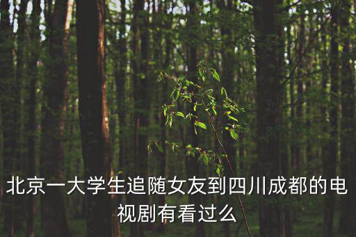 北京一大學生追隨女友到四川成都的電視劇有看過么