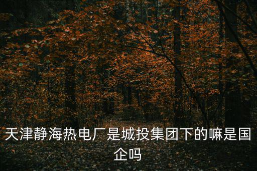 天津靜海熱電廠是城投集團下的嘛是國企嗎