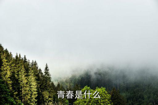 青春是什么