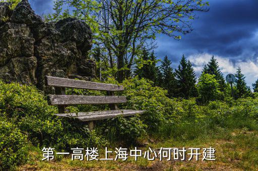 第一高樓上海中心何時開建