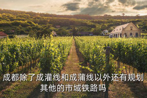 成都除了成灌線和成蒲線以外還有規劃其他的市域鐵路嗎