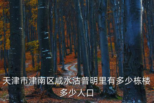 天津市津南區咸水沽普明里有多少棟樓多少人口