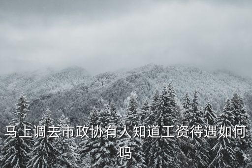 政協(xié)工作，政協(xié)如何履行其職能