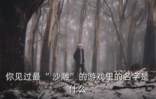 你見過最“ 沙雕”的游戲里的名字是什么