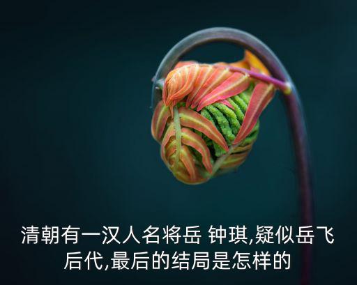 鐘琪,傅爾丹之死岳鐘琪的下落
