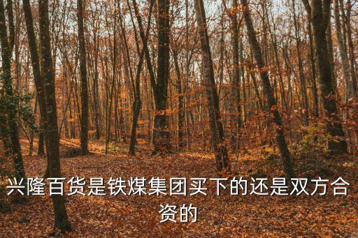 興隆百貨是鐵煤集團買下的還是雙方合資的