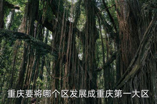 重慶要將哪個區發展成重慶第一大區